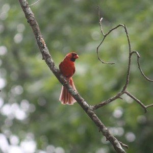 Meet your Posher, Wendie